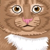 Adopt A Kitty Image
