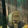 Boy Rescue From Woodland