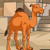 Camel Escape From Desert