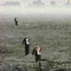 Carveola Incident Image