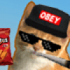 Cat Clicker Mlg