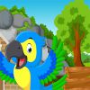 Cute Parrot Rescue