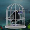 Dark Fantasy Crow Escape