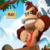 Donkey Kong Ice Adventure