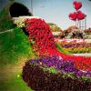 Freeroomescape Valentine Garden Escape