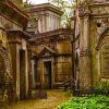 Highgate Cemetery Bird