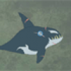 Killer Whale