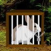 Rain Forest Rabbit Escape
