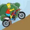 Simpson Bike