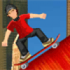 Skate Mania