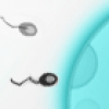 Tadpole
