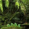 Wow Reptiles Forest Escape