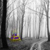 Zooo Swarthy Forest Escape Image