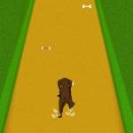 Dog Dash