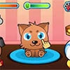 Virtual Pet Game