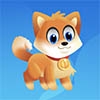 Dash and Dog Image