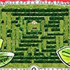 The Maze Game