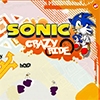 Sonic Crazy Ride