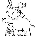 Elephant Coloring Page