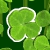 4 Leaf Clover
