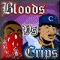 Bloods vs Crips Image