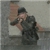 Brother in Arms Image