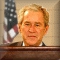 Bush Shoes Image