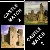 Castle Match Image