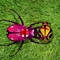 Critter Zapper