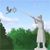 Damn Birds! Image