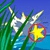 Dodo Hunt Image