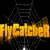 FlyCatcher Image