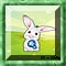 Hop And Pop Image