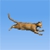 Kitty Throw Image