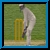 Last Man Standing Cricket