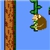 Monkey Poop Fight Image