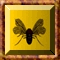 Mosqy Mosquito Image