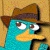 Perry Kick Up Image