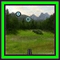 Samsung U900 Skeet Shoot Image