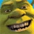 Shrek N Slide Image