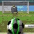 Soccer Showdown Image