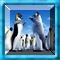 Sort my Tiles Happy Feet