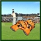 Test Catch Cricket Image