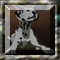 The Broken Bridge Hidden Object Image
