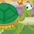 Turtle Pool Image