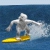 Yetisports6 - Big Wave Image