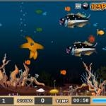 Star Fish