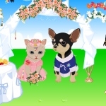 Pet Wedding Dress Up