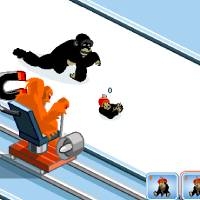 Monkey Curling Championship