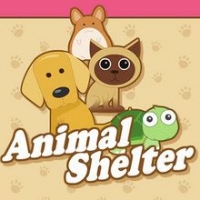 Animal Shelter